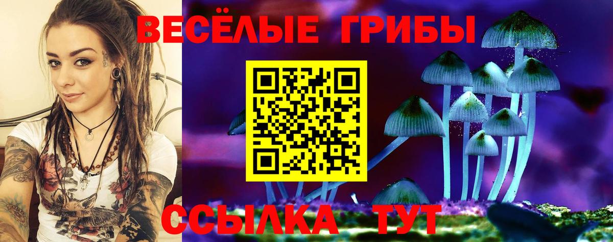 Псилоцибиновые грибы Psilocybe  как найти   Соль-Илецк  Галлюциногенные грибы Cubensis  Вход с VPN 
